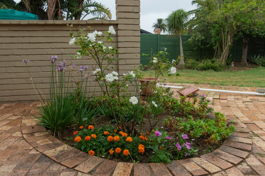 4 Bedroom Property for Sale in Amsterdamhoek Eastern Cape